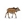 Antílope eland gigante - Imagen 1