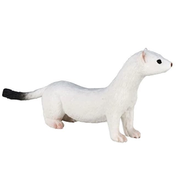 Armiño blanco de mojo - Imagen 1