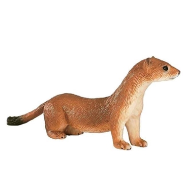 Armiño mojo - Imagen 1