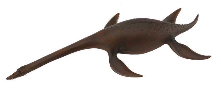 Attenborosaurus - Imagen 1