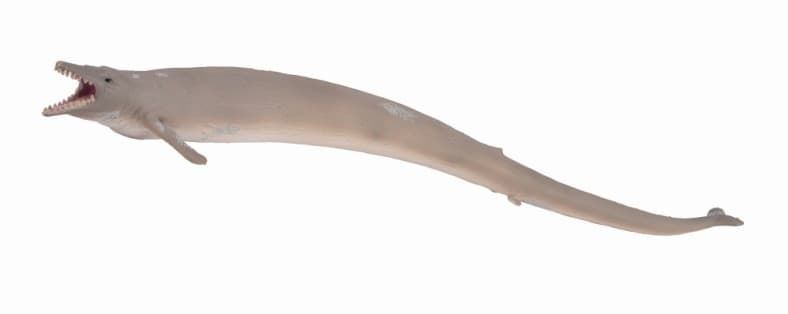 Basilosaurus - Imagen 1