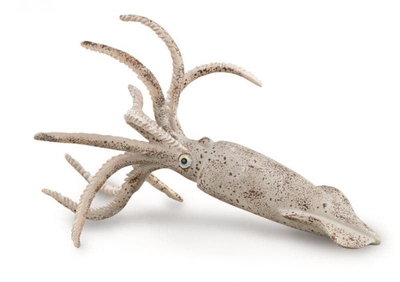 Belemnite - Imagen 1