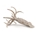 Belemnite - Imagen 1