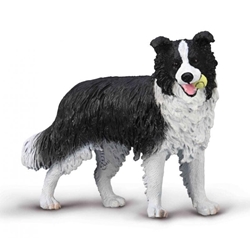 Border Collie - Imagen 1