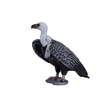 Buitre leonado - Imagen 1