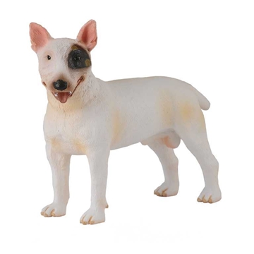 Bull Terrier - Macho - Imagen 1