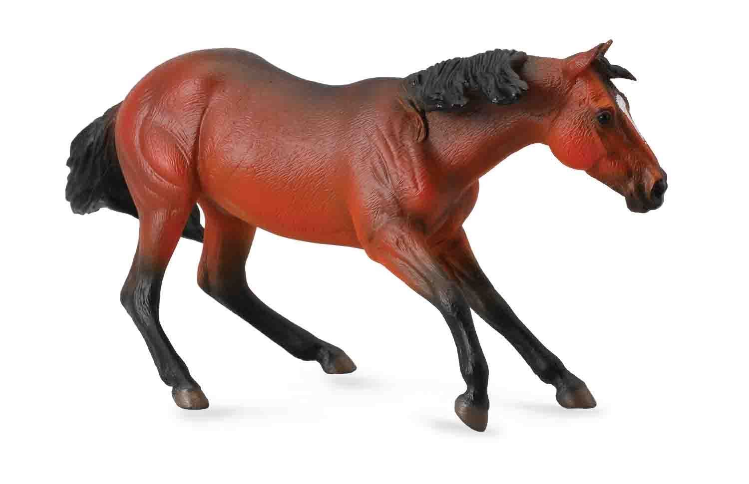 Caballo cuarto de milla castaño oscuro - Imagen 1