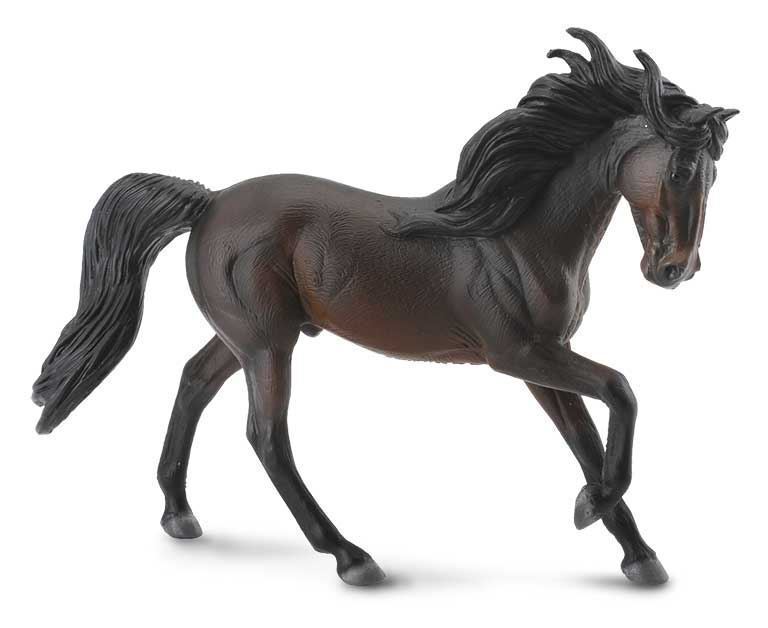 Caballo Semental Andaluz Castaño Oscuro - Imagen 1