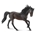 Caballo Semental Andaluz Castaño Oscuro - Imagen 1