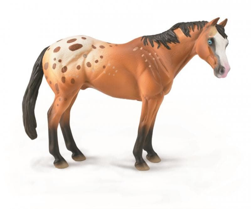 Caballo Semental appaloosa castaño claro - Imagen 1