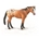 Caballo Semental appaloosa castaño claro - Imagen 1
