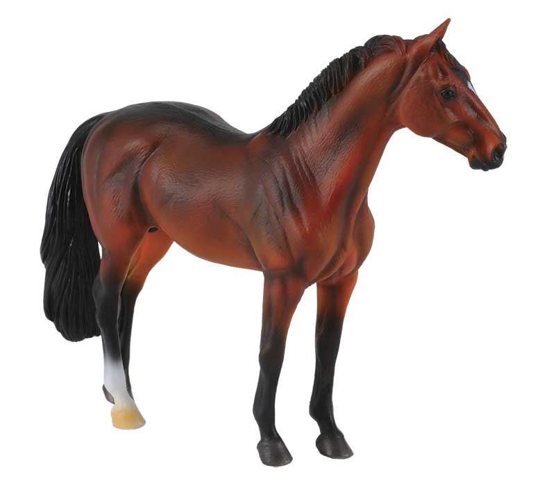 Caballo Semental Hannoveriano Castaño Oscuro - Imagen 1