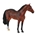 Caballo Semental Hannoveriano Castaño Oscuro - Imagen 1