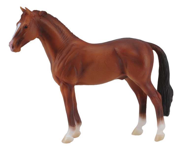 Caballo Semental Hannoveriano Castaño - Imagen 1