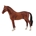 Caballo Semental Hannoveriano Castaño - Imagen 1
