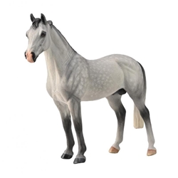 Caballo semental Hannoveriano gris moteado - Imagen 1