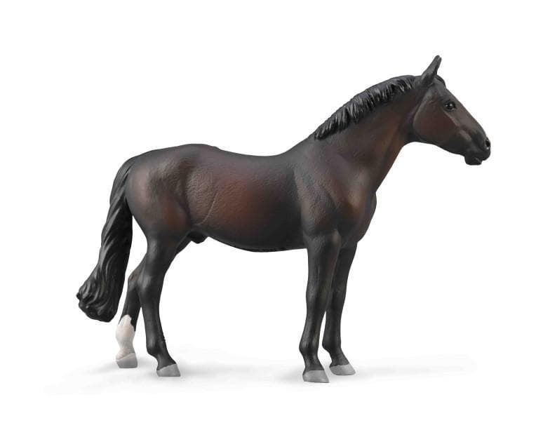Caballo semental Holsteiner castaño - Imagen 1