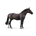 Caballo semental Holsteiner castaño - Imagen 1