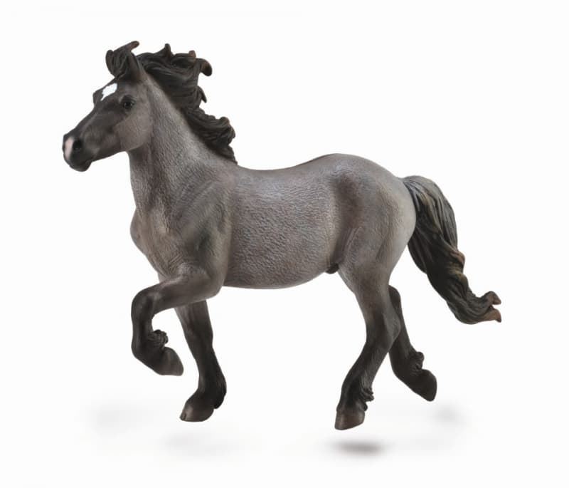 Caballo Semental islandés azul pardo - Imagen 1