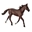 Caballo Semental Standardbred Castaño - Imagen 1