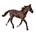 Caballo Semental Standardbred Castaño - Imagen 1