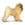 Chow Chow - Imagen 1
