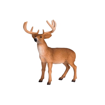 Ciervo cola blanca - Imagen 1