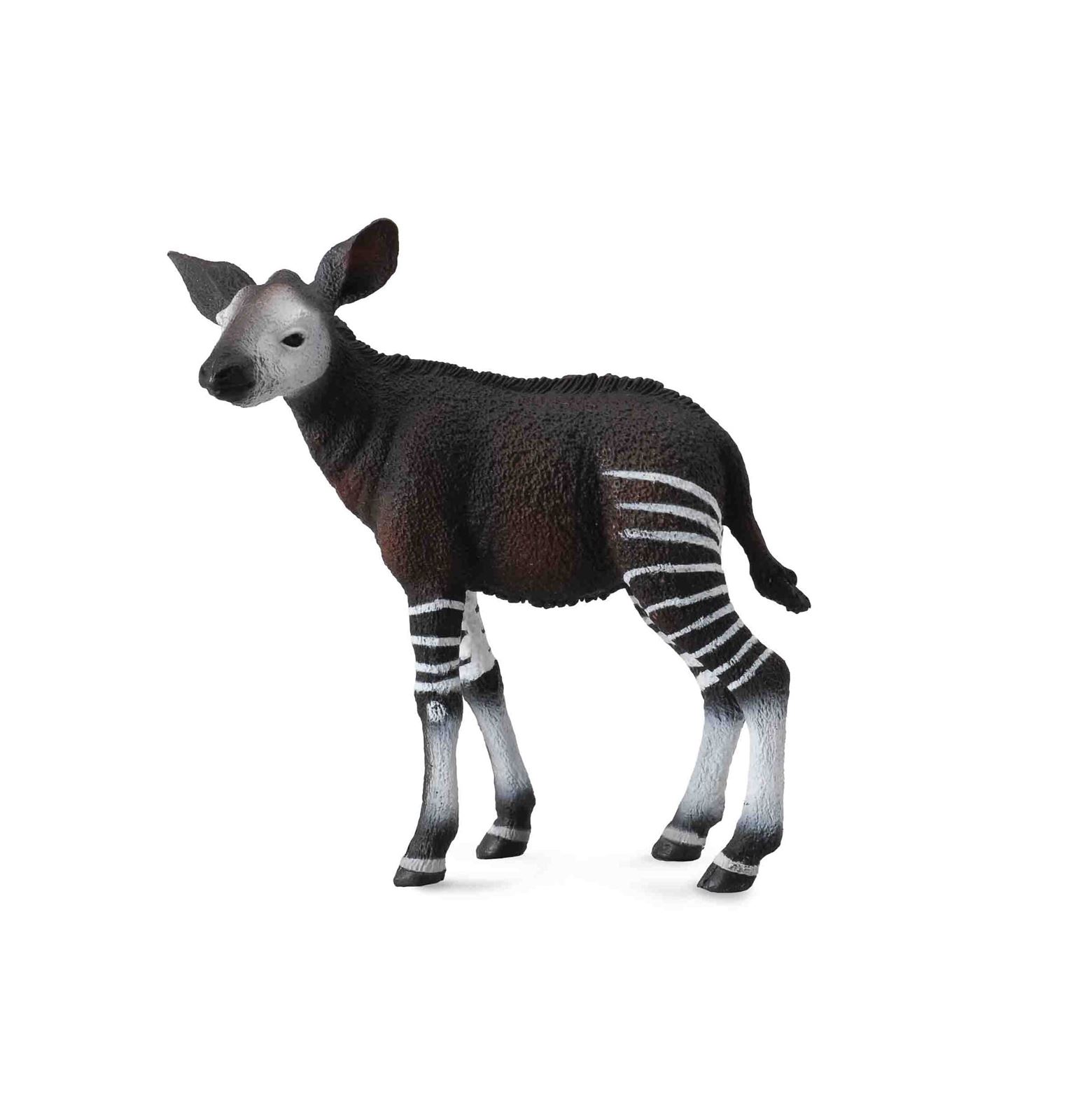 Cría de okapi - Imagen 1