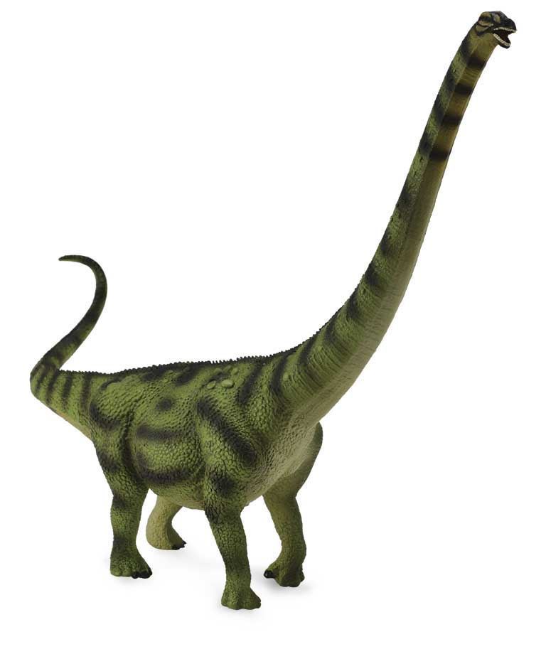 Daxiatitan - Imagen 1