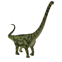 Daxiatitan - Imagen 1