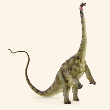 Diplodocus - Imagen 1