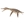 Dolichorhynchops - Imagen 1