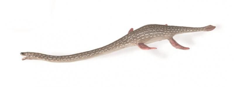 Elasmosaurus - Imagen 1