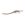 Elasmosaurus - Imagen 1