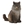 Gato del bosque noruego - Imagen 1