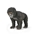 Gorila de montaña bebé - Imagen 1