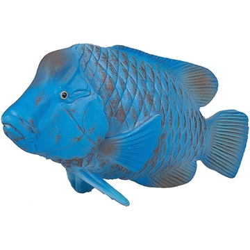 Groper Azul - Imagen 1