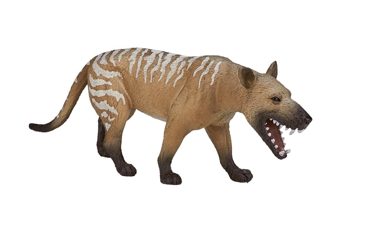 Hyaenodon Gigas - Imagen 1