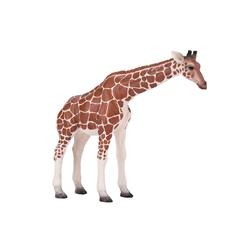 Jirafa Agachada - Imagen 1