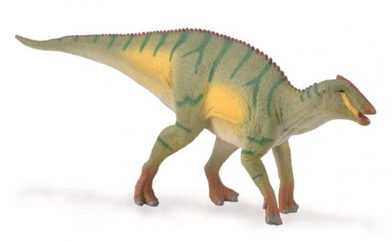 Kamuysaurus - Imagen 1