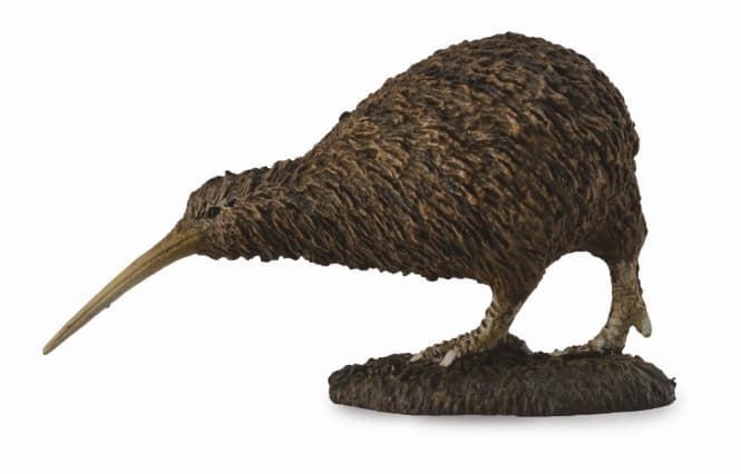 Kiwi - Imagen 1
