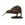 Kiwi - Imagen 1