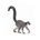 Lémur con cola de anillos - Imagen 1