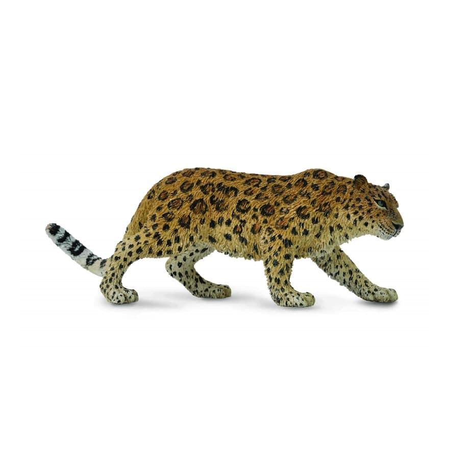 Leopardo del Amur - Imagen 1