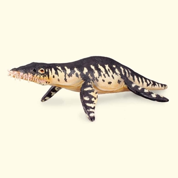 Liopleurodon - Imagen 1