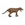 Lobo de Tasmania - Imagen 1