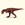 Majungasaurus - Imagen 1