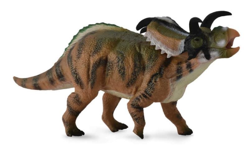 Medusaceratops - Imagen 1