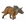 Mercuriceratops - Imagen 1