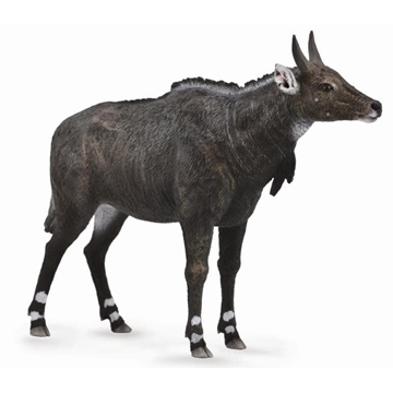 Nilgai - Imagen 1